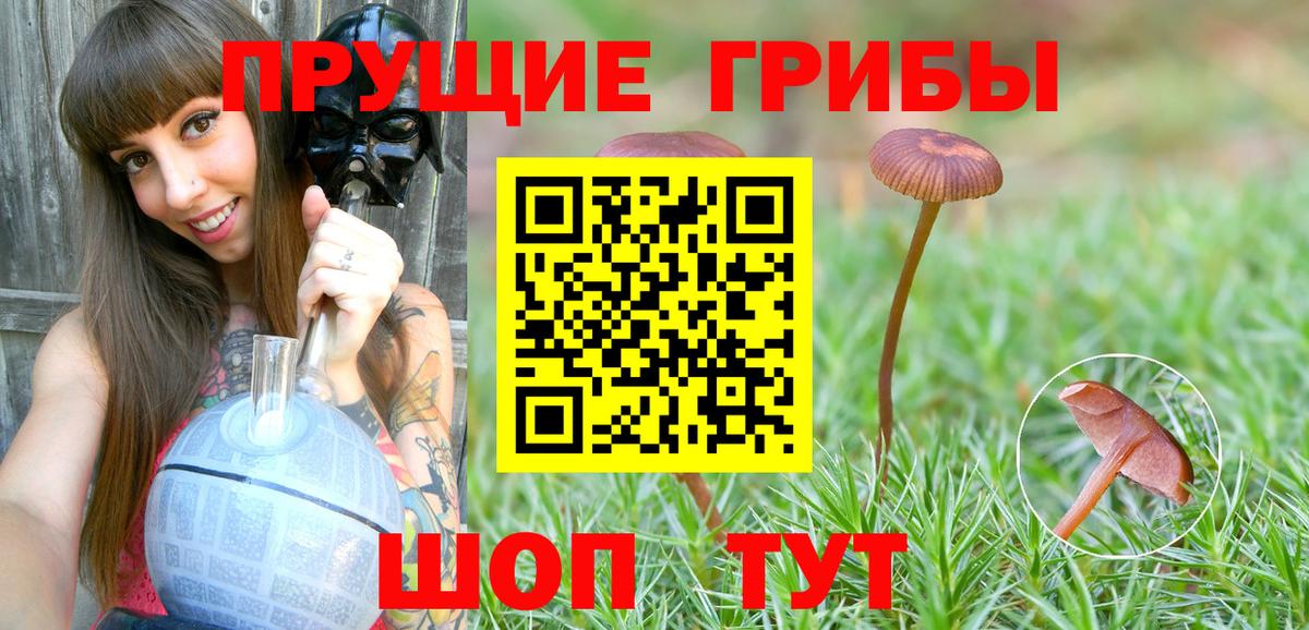 Галлюциногенные грибы MAGIC MUSHROOMS  Вход с VPN  Майский 